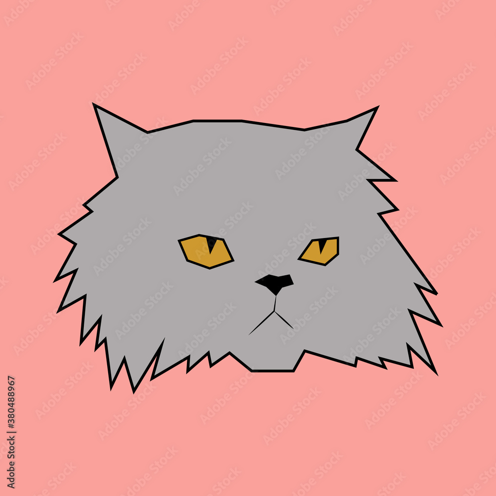 Gato Angora