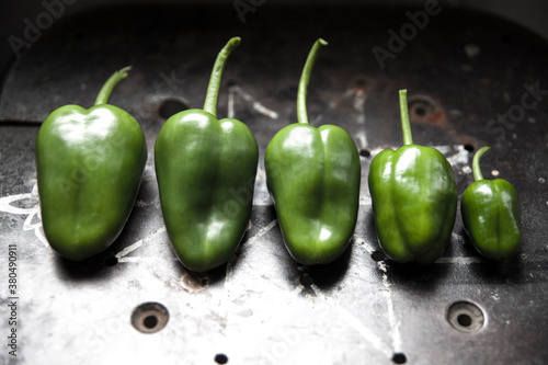 row of garden fresh green pepppers photo