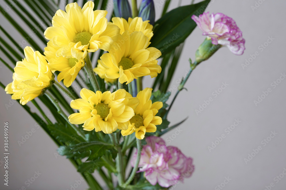 chrysanthemum flowers