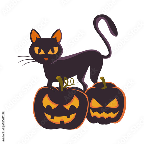 halloween pumpkins with faces and cat © Jemastock