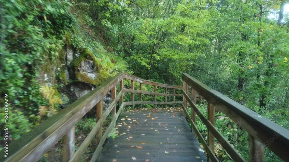 Nature in forest. Ribeira Sacra. Galicia,Spain Nature in forest. Ribeira Sacra. Galicia,Spain