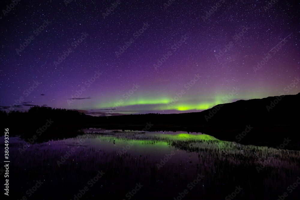 Fototapeta premium Northern lights, aurora borealis, over the lake in the Northern Canadian Nature at Night. Taken at Fish Lake near Whitehorse, Yukon, Canada.