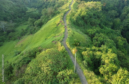 Fototapeta Naklejka Na Ścianę i Meble -  Beautiful morning at Campuhan Ridge Walk Ubud Bali Indonesia.