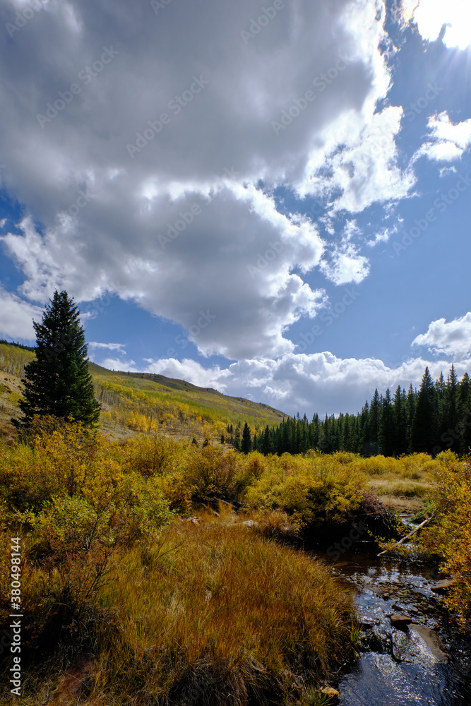 Colorful aspens and stream in a valley near the Colorado Trail at Kenosha Pass, vertical landscape