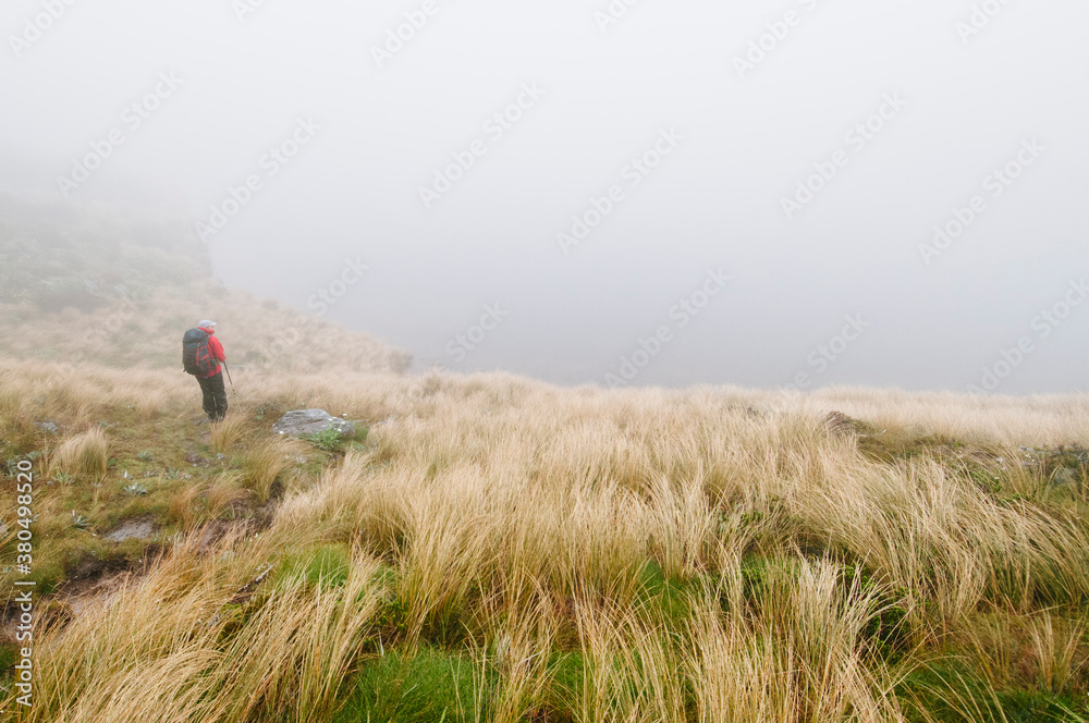 Woman trekker, tussock and lake, Kahurangi National Park, New Zealand. Woman trekker, tussock and lake, Kahurangi National Park, New Zealand.