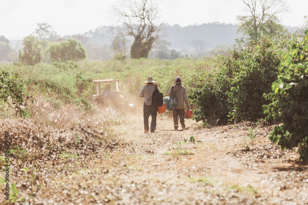 Two male workers on a plantation with backpacks and tractor in the background Two male workers on a plantation with backpacks and tractor in the background