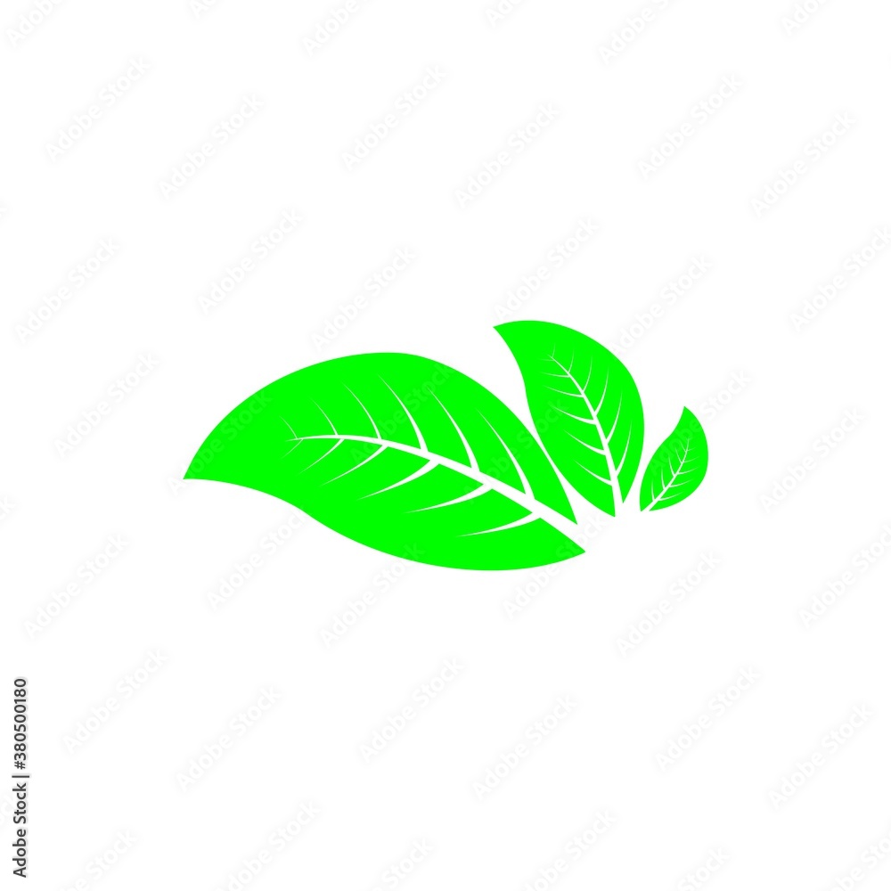 Fototapeta premium leaf logo