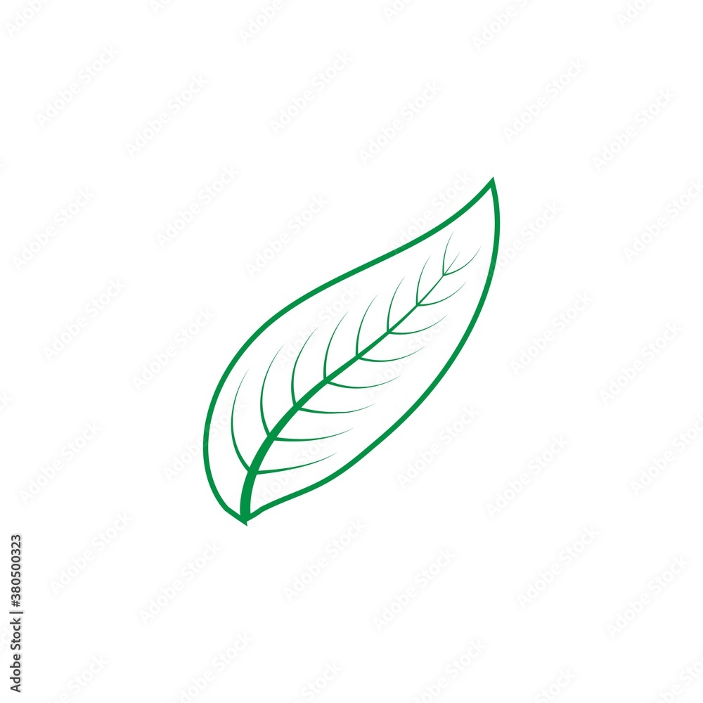 Fototapeta premium leaf logo