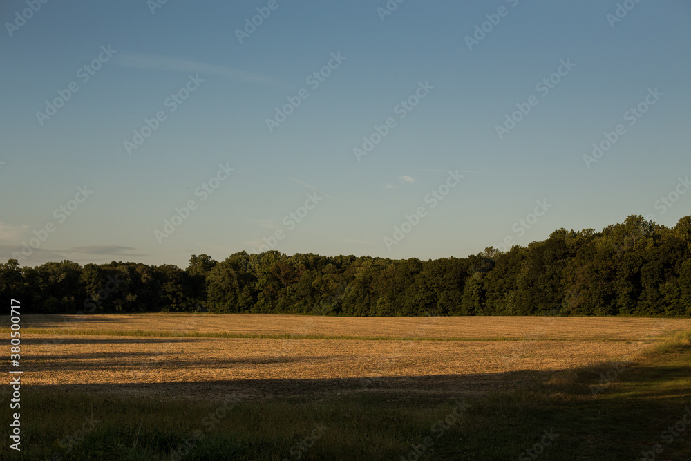 Countryside field as the sun is setting Countryside field as the sun is setting