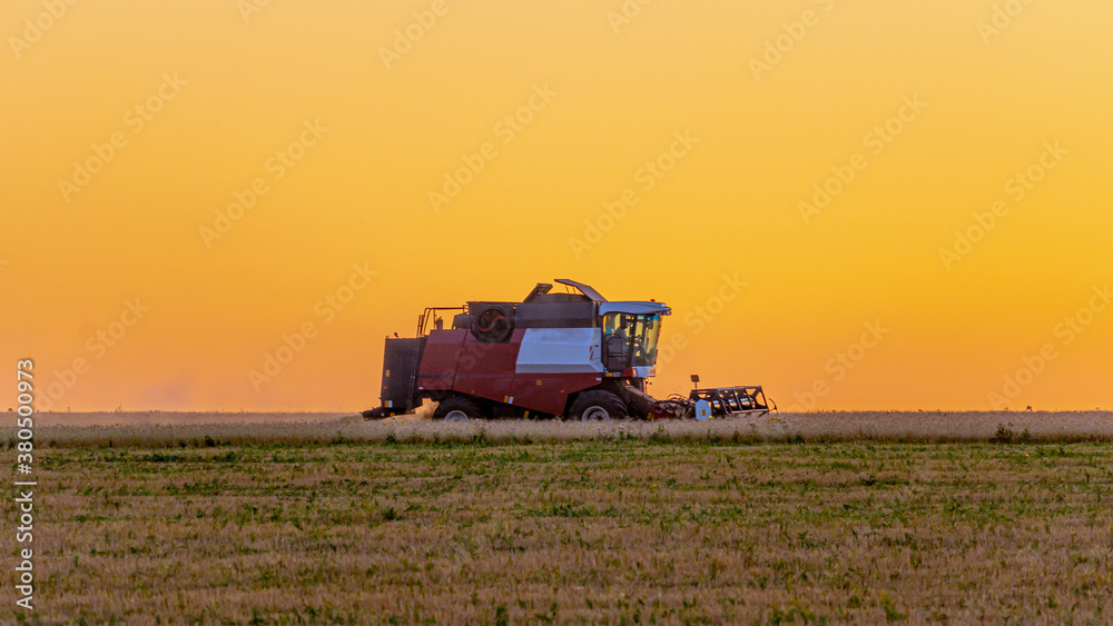 Fototapeta premium Wheat harvest in the fields at sunset. Technique against an orange sky