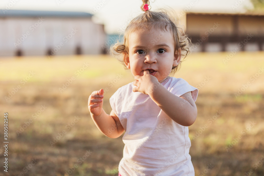 baby playing on the grass with pacifier in mouth baby playing on the grass with pacifier in mouth