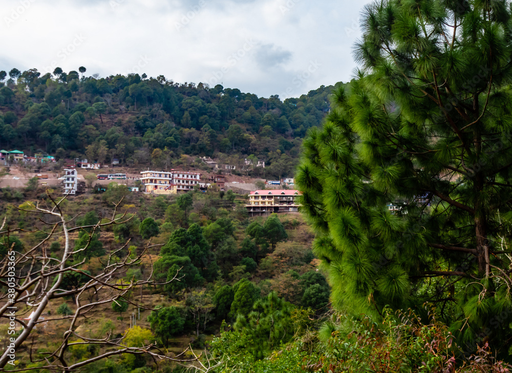 wide shot of mountain with houses and tree in the foreground