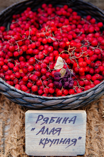 Rowanberry in a basket