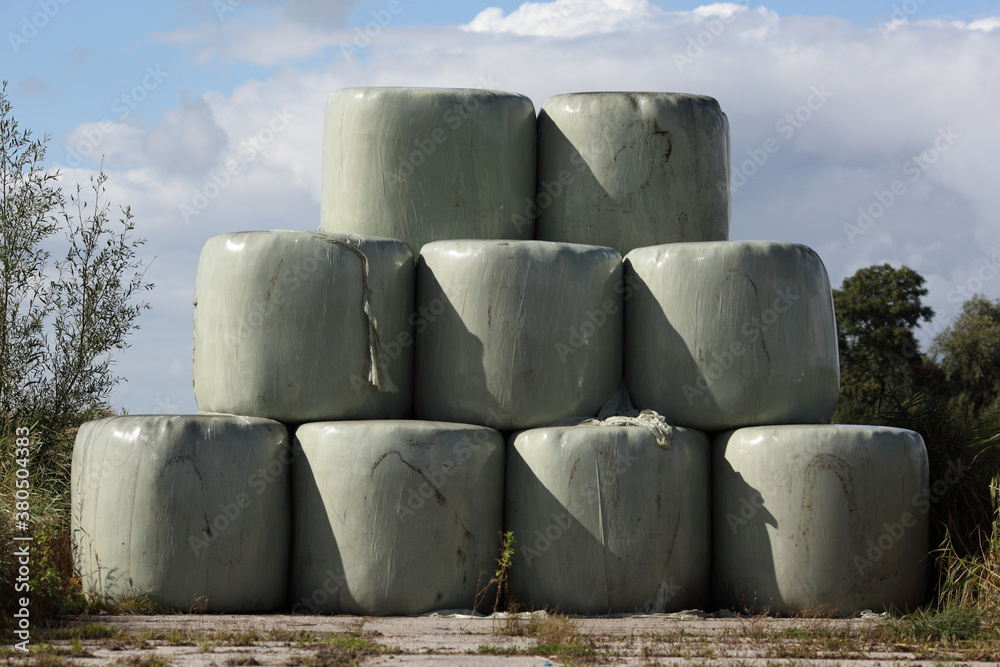 Cow fodder bales on the dutch countryside Cow fodder bales on the dutch countryside