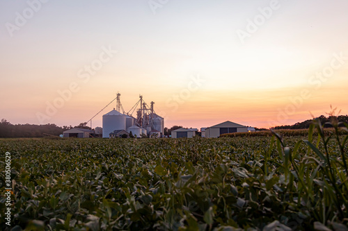  A sunset view of the modern granaries and silos of a large industrial size farm which specializes in wheat, corn and soybean production at large scale.