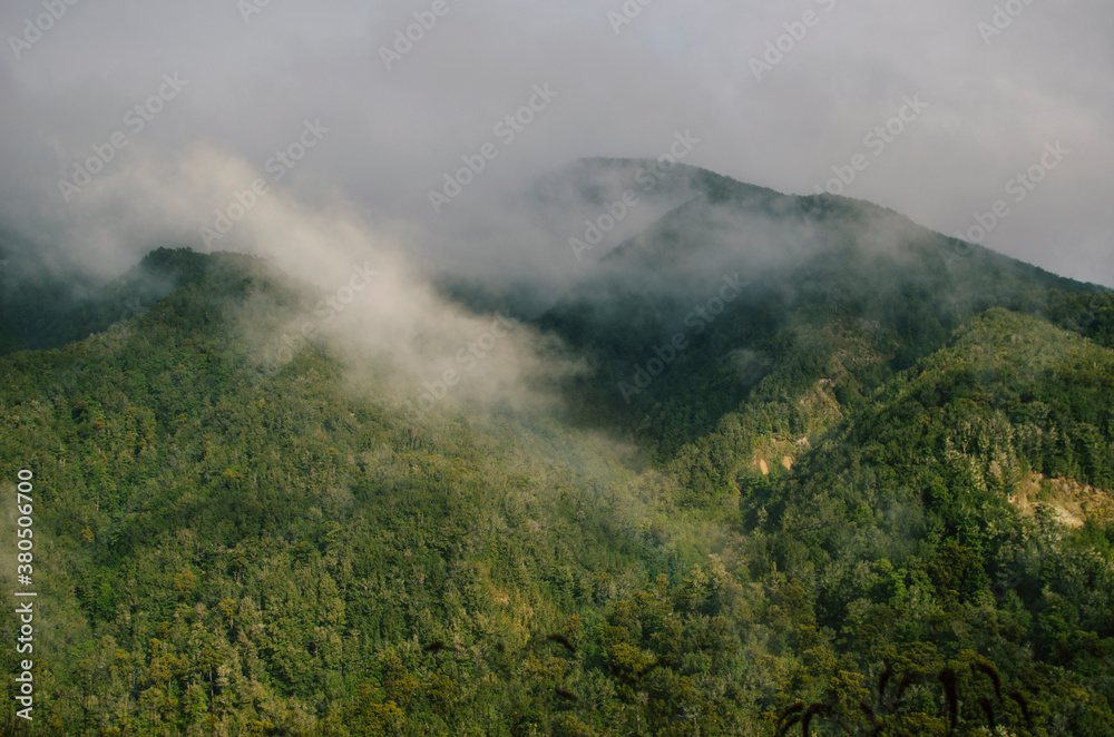 Fog covered mountain Fog covered mountain