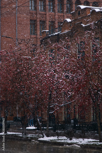 Photo of snowy city street photo