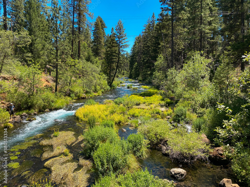 Obraz premium McArthur–Burney Falls Memorial State Park is the second oldest state park in the California State Parks system, located approximately 6 miles north of Burney, California. 
