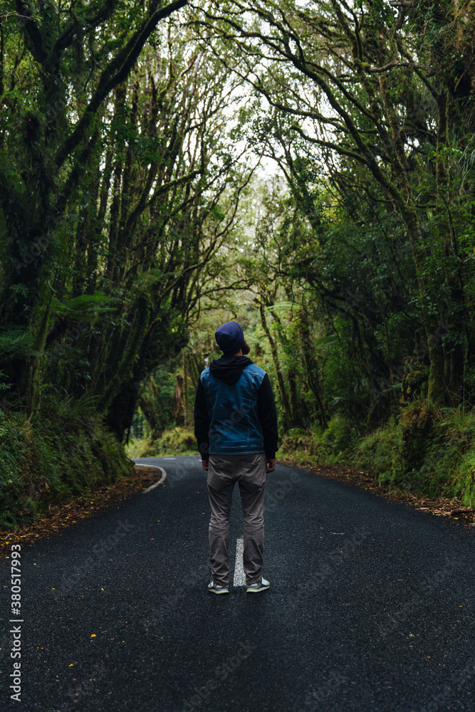 Men standing on the road through the dense forest Men standing on the road through the dense forest