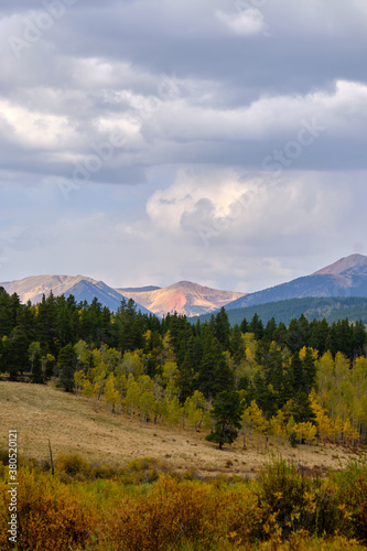 vertical landscape featuring a colorful red mountain and aspen forest in peak autumn foliage