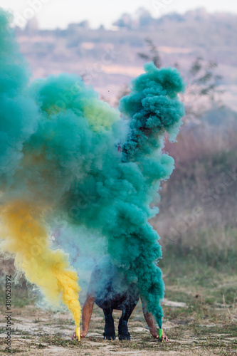 yellow and green,person with two smoke bombs in nature photo