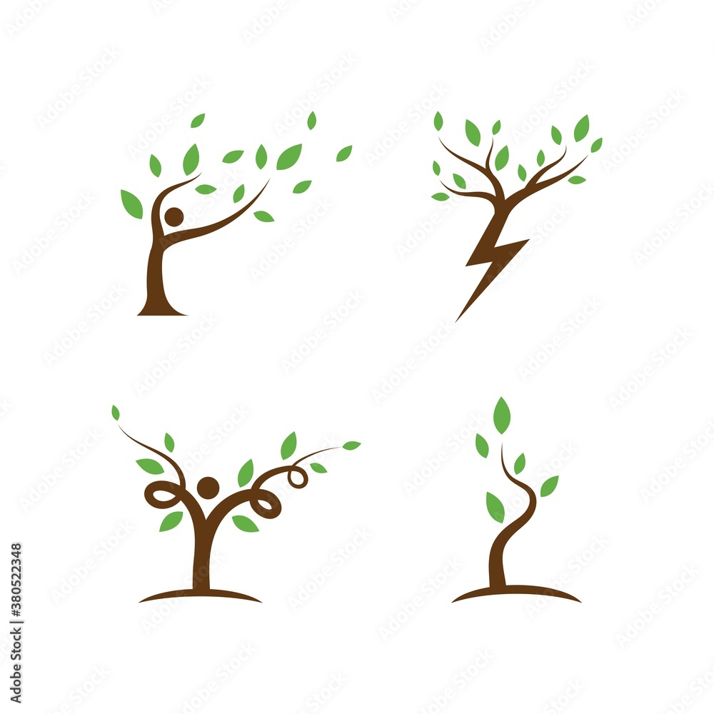 Obraz premium Tree nature care