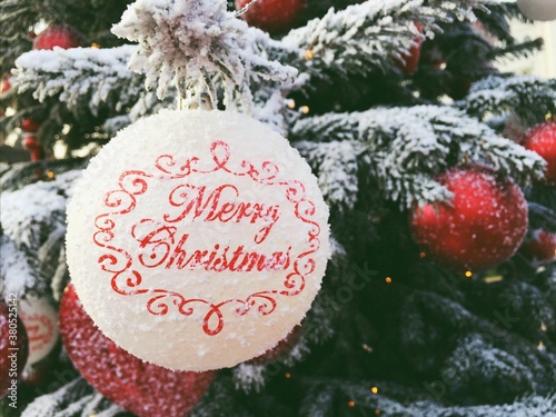 Christmas ornament hanging in tree outdoors