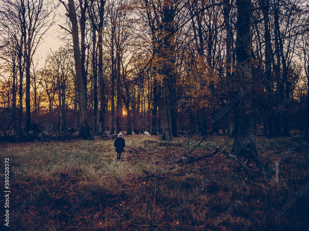Girl in the forest Girl in the forest