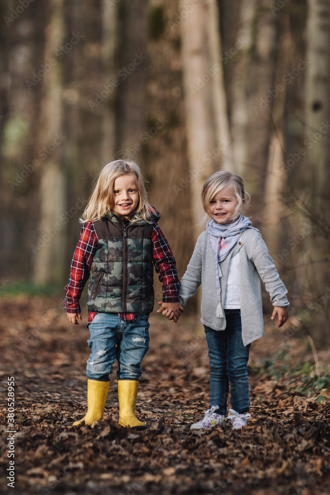 portrait of little boy and girl holding hands in the forest - first love