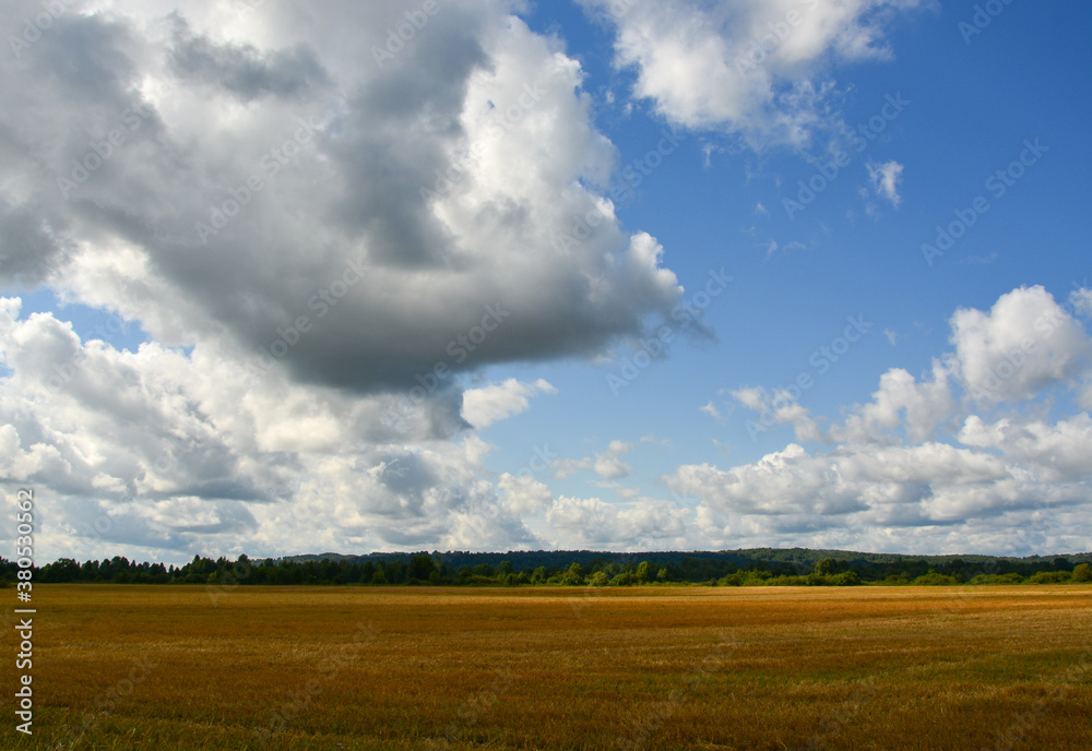 Beautiful autumn landscape, yellow mown field, rain clouds in the sky Beautiful autumn landscape, yellow mown field, rain clouds in the sky