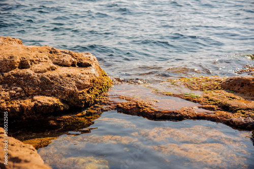 Stones and seaweed on the surface of the sea.