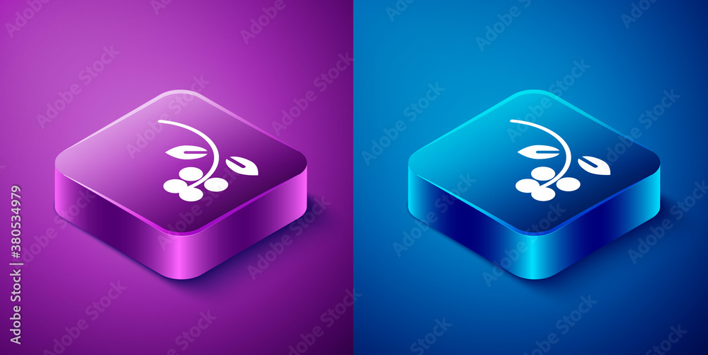 Isometric Coffee bean, branch with leaf and berry icon isolated on blue and purple background. Plant with leaf, berry, fruit, seed. Square button. Vector Illustration.