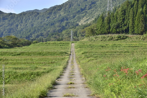 秋ので田園風景