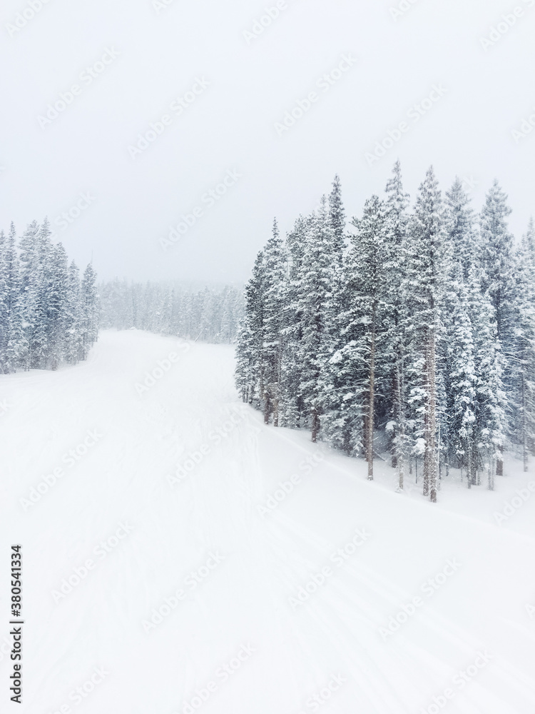 Snowy mountain scene with snow covered pine trees Snowy mountain scene with snow covered pine trees