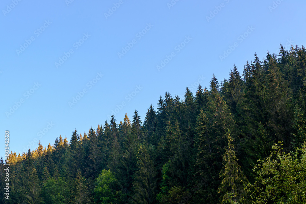 The charm and grandeur of the Ukrainian mountains, the trails to the mountain Chornohirsky Pip Ivan.