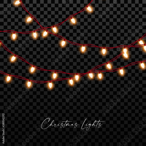 Christmas Lights Garlands