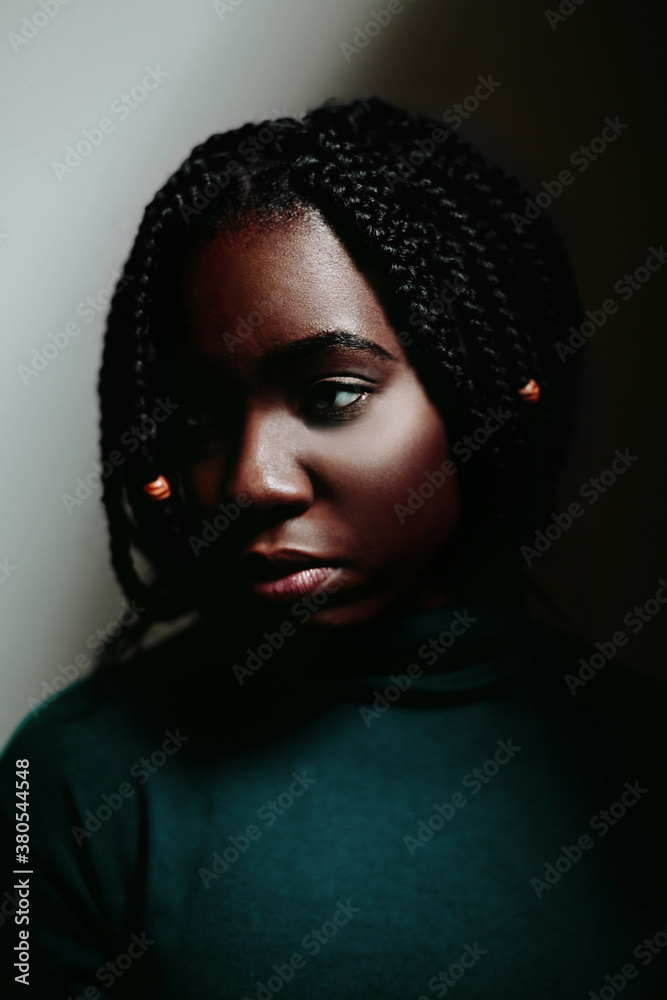 Young Afro Black Teenager with Braids . Studio Portraits Young Afro Black Teenager with Braids . Studio Portraits