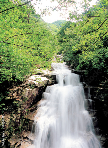 flowing stream in the mountain river