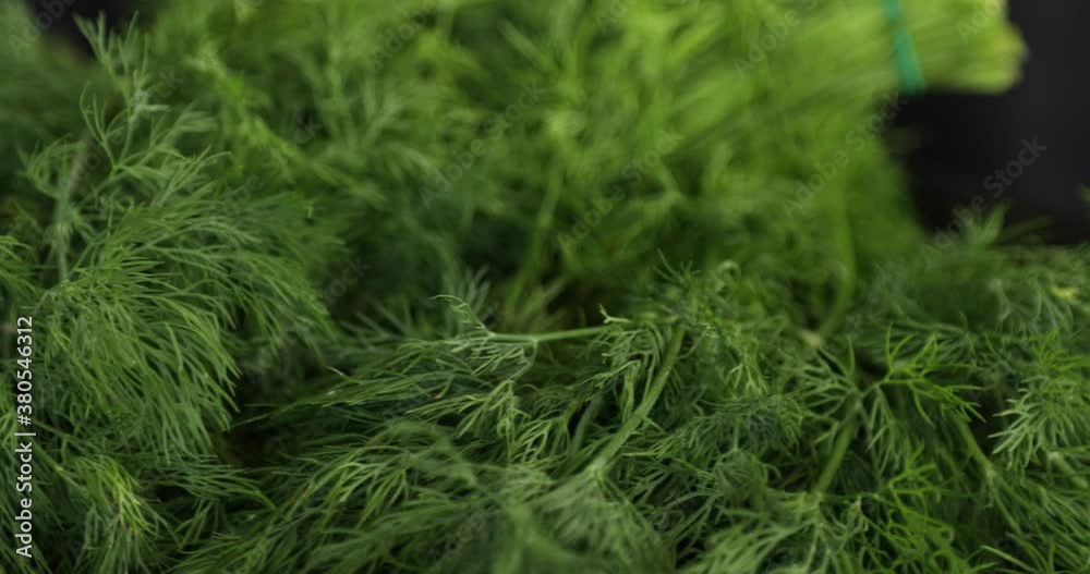 Fresh dill branches rotating on black background Fresh dill branches rotating on black background