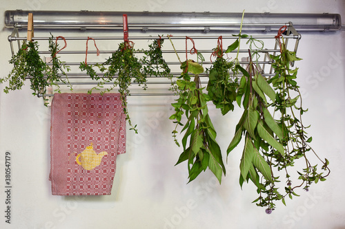 Kräuter und Gewürze aus dem eigenen Garten trocknen, Kräuter hängen an Trockengestell vor weißer Wand und rotem Geschirrtuch mit gelber Teekanne