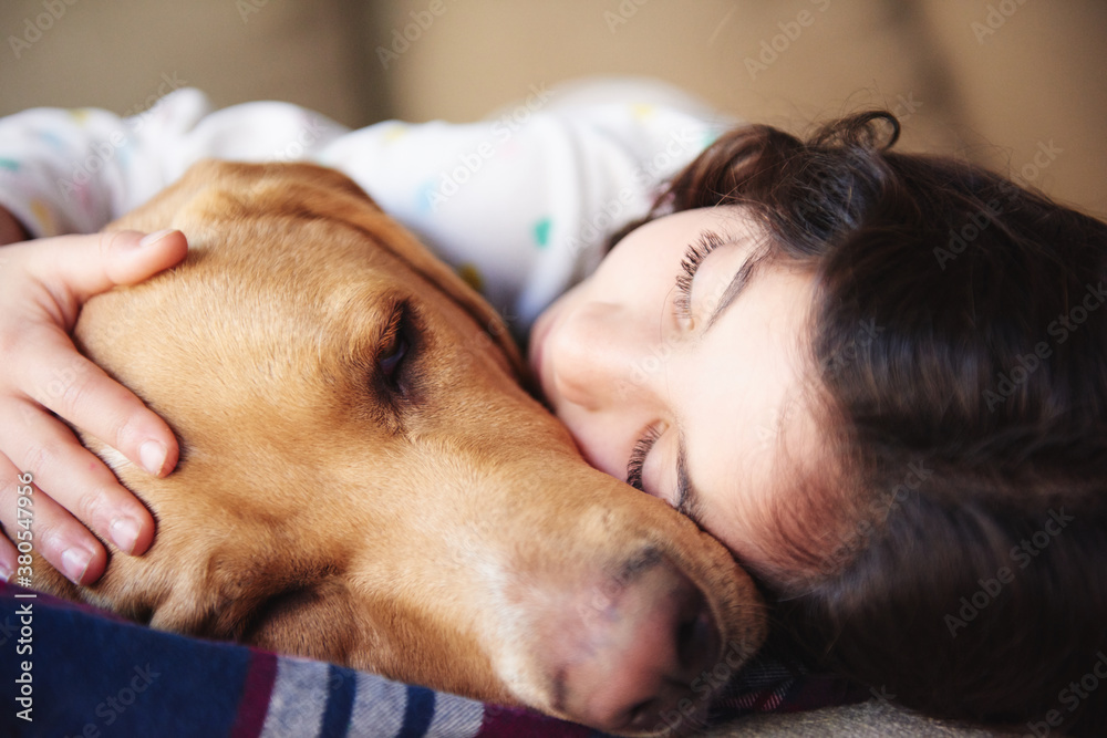 Lovely gold labrador and little girl lying on sofa Lovely gold labrador and little girl lying on sofa