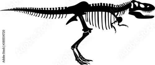 Tyrannosaurus rex skeleton