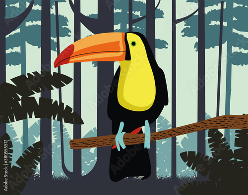 wild toucan exotic bird animal in the jungle scene