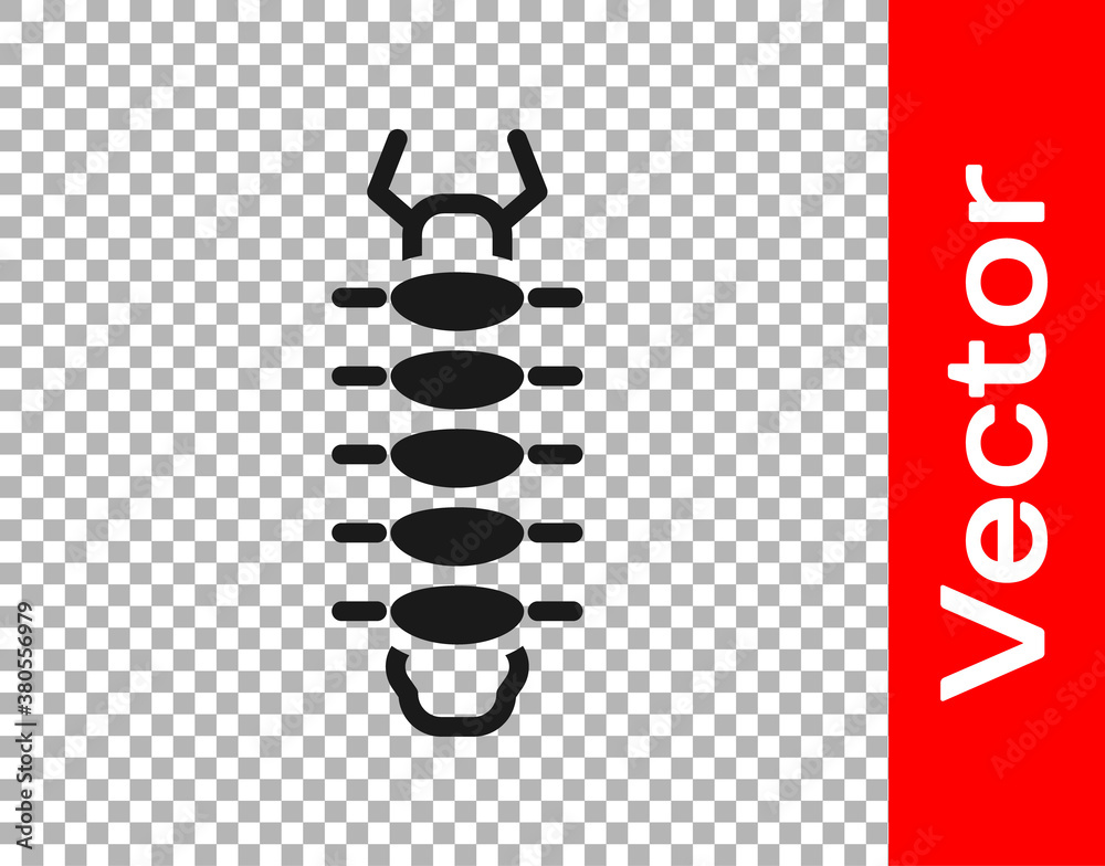 Black Centipede insect icon isolated on transparent background. Vector.