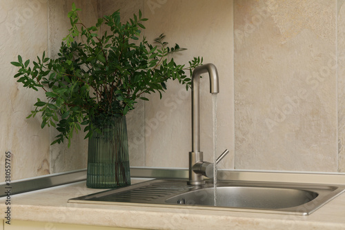 Kitchen sink with faucet and vase with plant