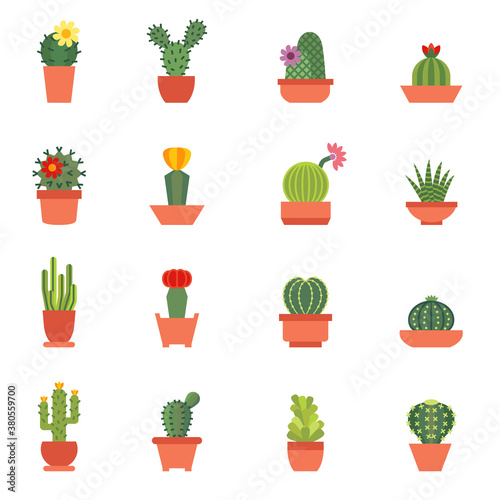 Cactus flat icons on a white background. Home plants cactus in pots and with flowers.