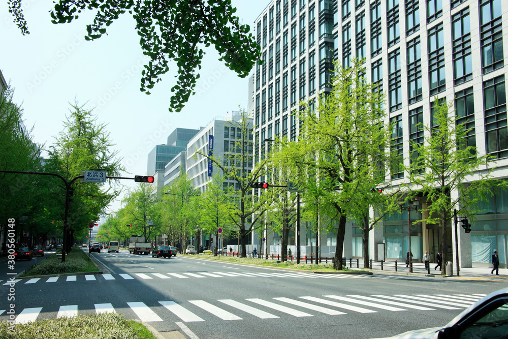 Obraz premium 新緑の御堂筋