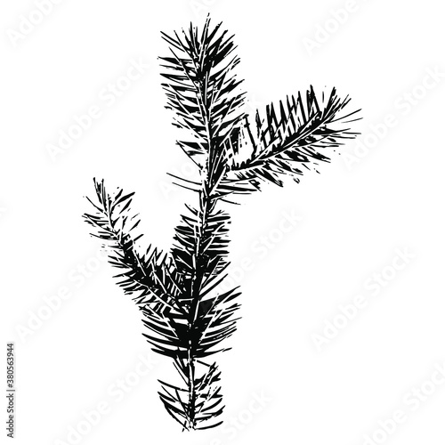 Imprint of a natural branch Christmas tree. Isolated silhouette on a white background. Suitable for New Year, Christmas, print, postcard, pattern, winter design. Botanical vector illustration.