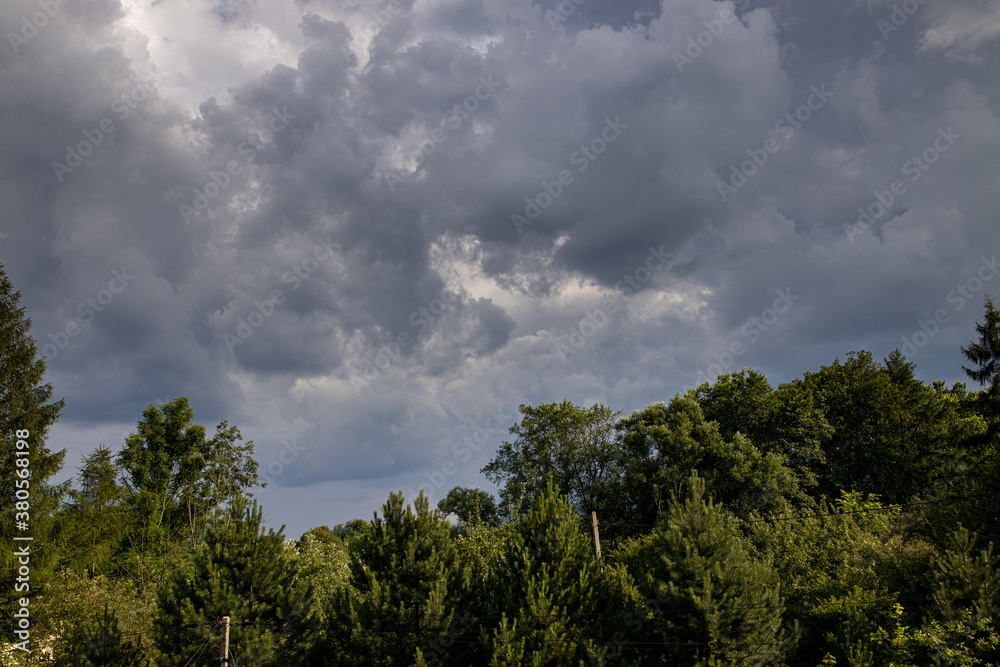 sky with gray clouds against the backdrop of green trees on a warm summer day sky with gray clouds against the backdrop of green trees on a warm summer day