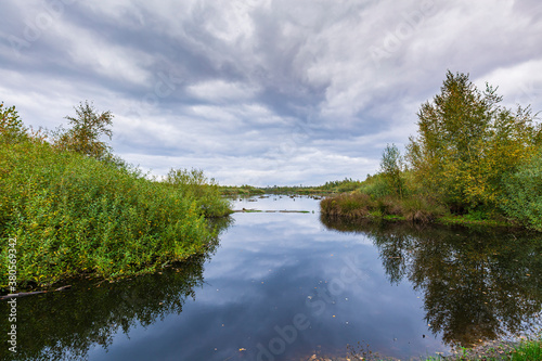 Swamp with peat moss national park de Groote Peel  Limburg the Netherlands